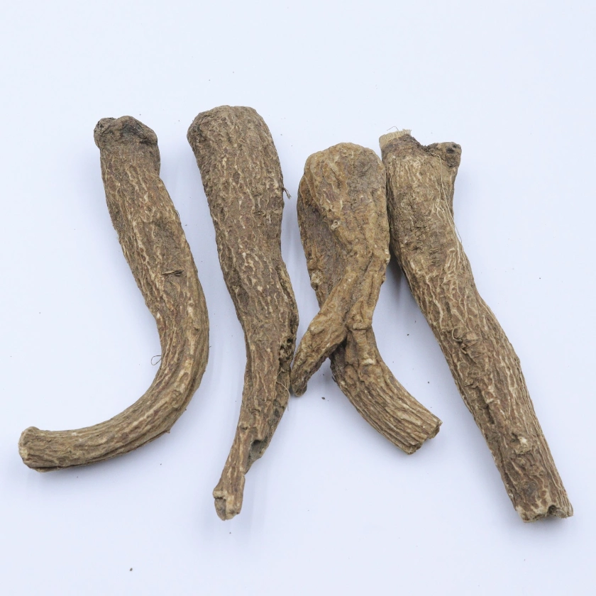 Hot Sale Costus Root Chinese Herbal Dried Radix Aucklandiae Yun Mu Xiang