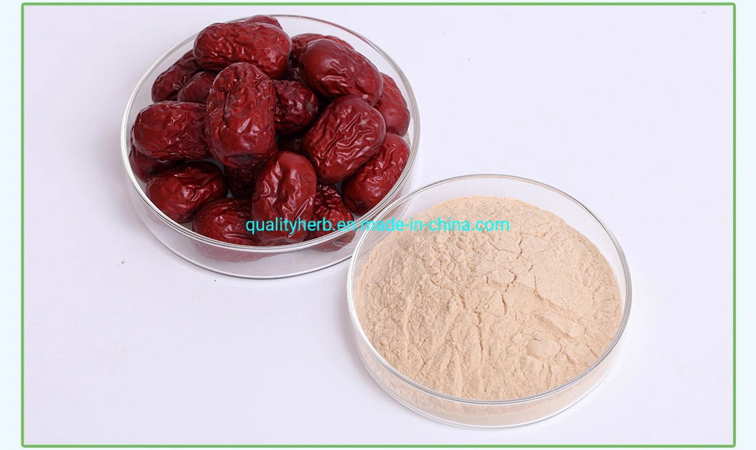 Ziziphus Jujuba Extract Jujuboside a &amp; B HPLC 0.2% HPLC