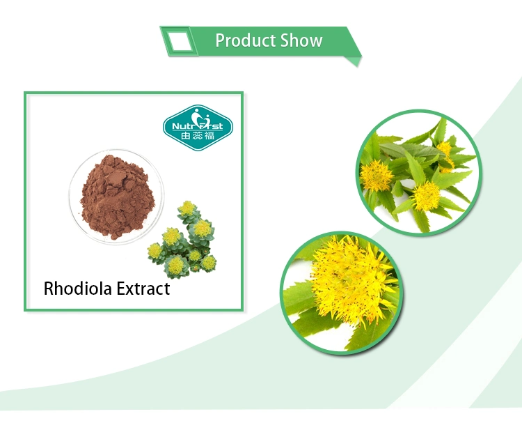 Wholesale Rhodiola Rosea Powder Water Soluble Dry Rhodiola Rosea Root Extract Rosavin 3% Salidroise 1%