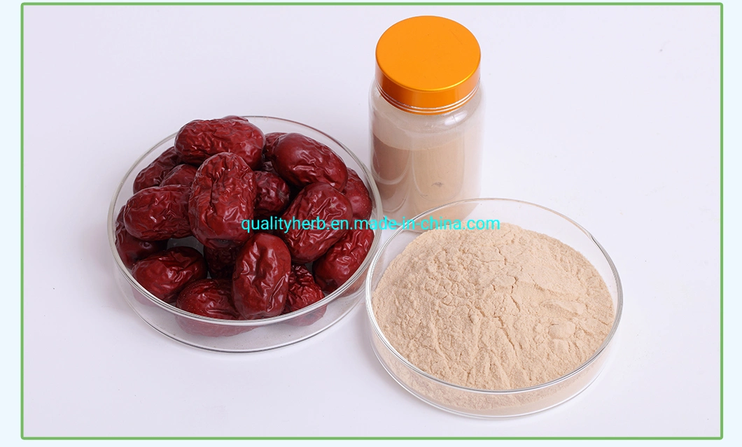 Ziziphus Jujuba Extract Jujuboside a &amp; B HPLC 0.2% HPLC