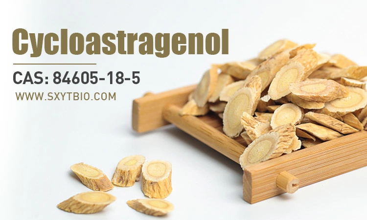 Cycloastragenol Astragalus Extract 78574-94-4 Cycloastragenol Cycloastragenol 99%