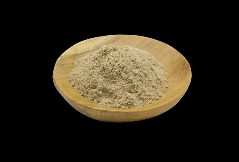 World Well-Being OEM/Devil&prime;s Claw Extract/Harpagophytum Procumbens Extract/Harpagoside 5% 10%/Anti-Inflammatory/Pain Reliever