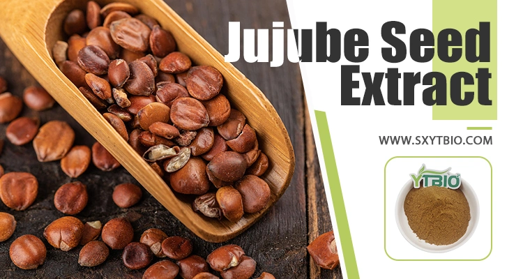 Wholesale Factory Price Jujubosides 2% Wild Jujube Seed Extract