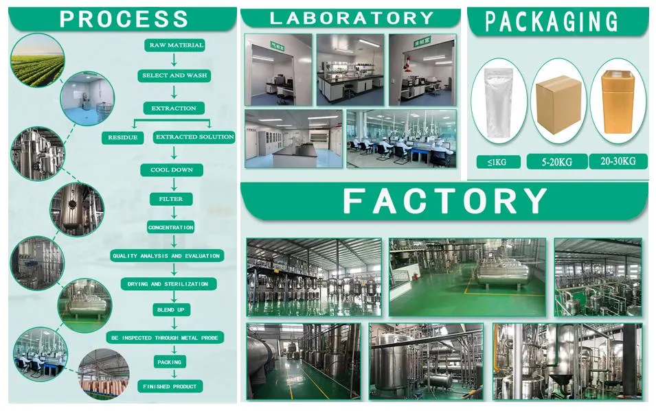 Factory Supply Natural Glycyrrhetinic Acid Enoxolone 98% 18 Beta-Glycyrrhetinic Acid CAS: 471-53-4