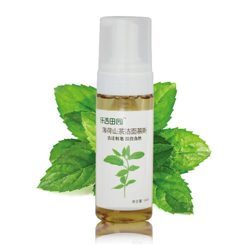 Bulk Price Manufacturer Hot Supply Mint Flavor Powder Peppermint Extract