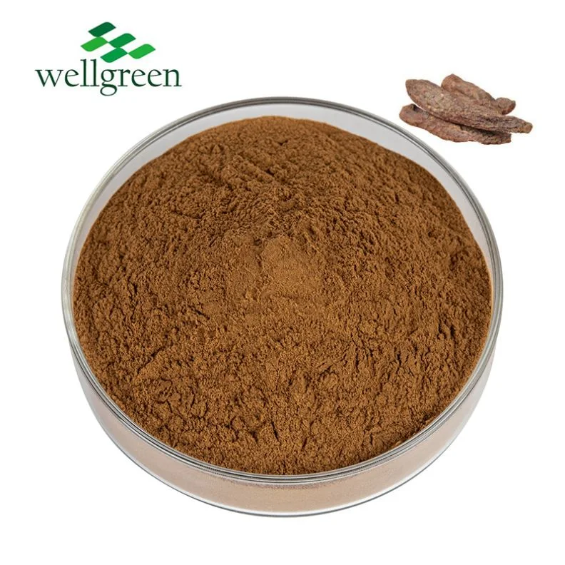 China Supply 40% Cistanche Deserticola Extract Powder Echinacoside