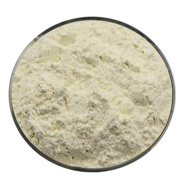 High Quality Radix Notoginseng P. E. Panax Notoginseng Root Extract Powder