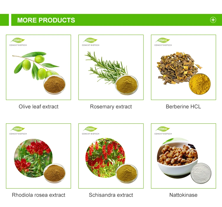 Comext Halal Kosher ISO22000 100% Natural Plant Extract 70% Organic Silica Bamboo Leaf Extract Bamboo Extract