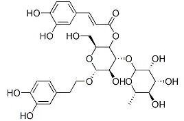 Fast Delivery Istanche Tubulosa Extract Verbascoside CAS No. 61276-17-3