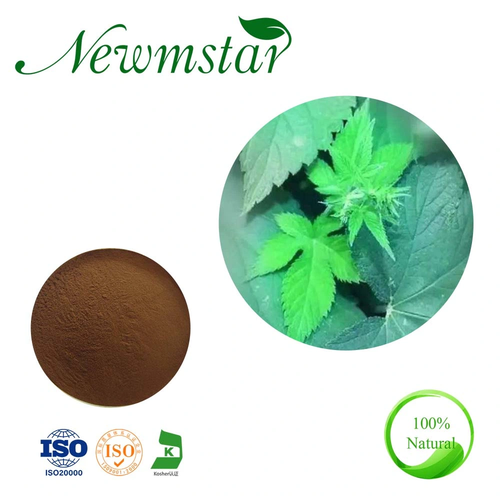 Natural Pure CAS 19210-12-9 for Sale Harpagophytum Procumbens Powder 5% Harpagoside Devils Claw Extract