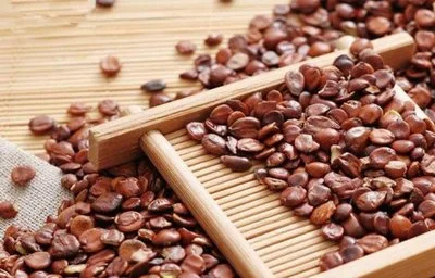 High Quality Wild Jujube Seed Extract Jujuboside Powder CAS 55466-05-2 Jujuboside B