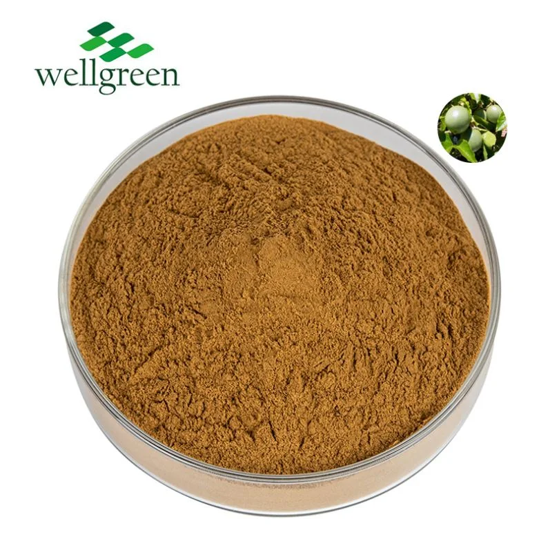 Free Sample Organic Water Soluble Natural Herbal Flavones Passionflower Extract Powder