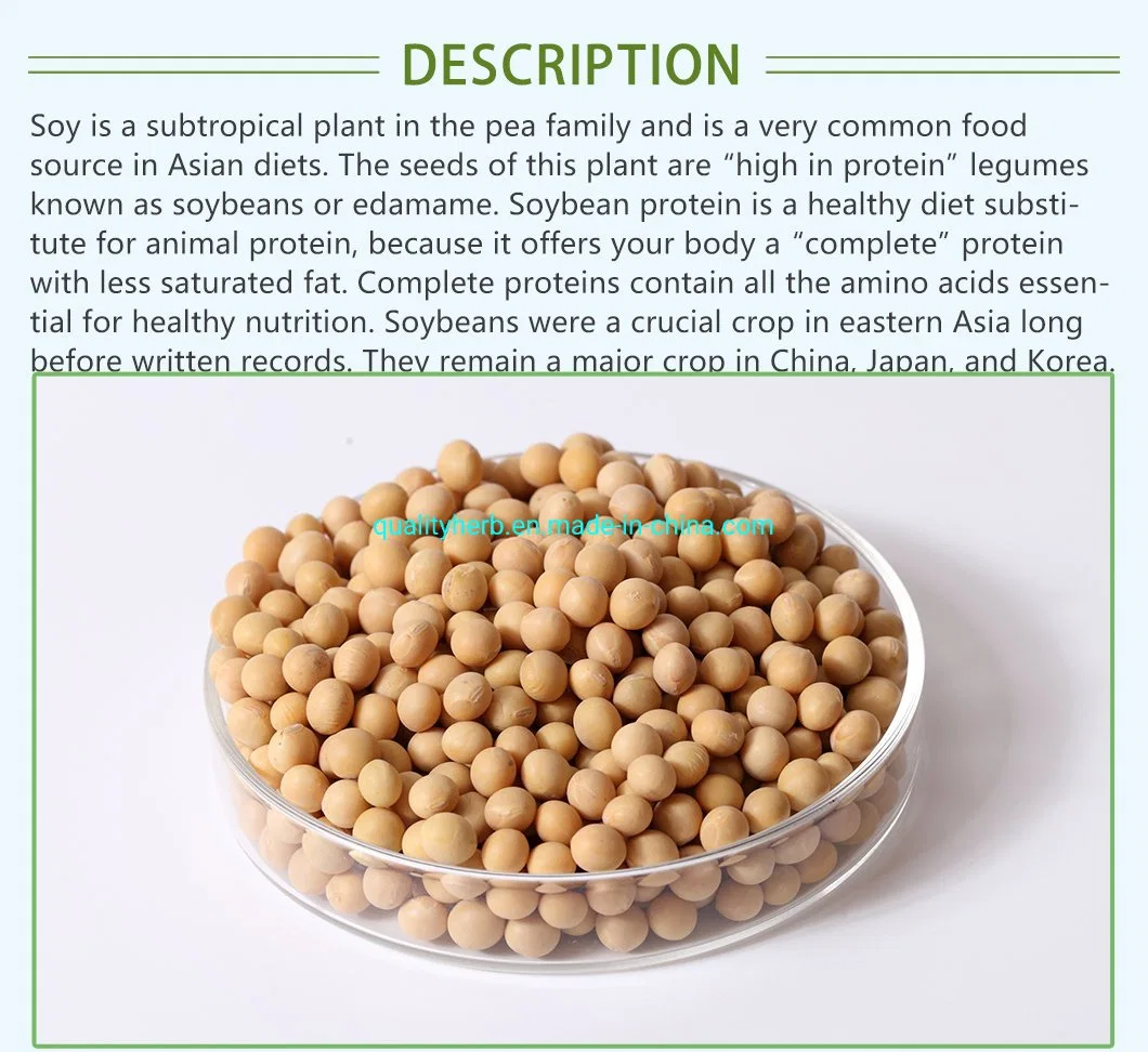 Health Food Soy Bean Extract with 40% Isoflavones (Embryo)