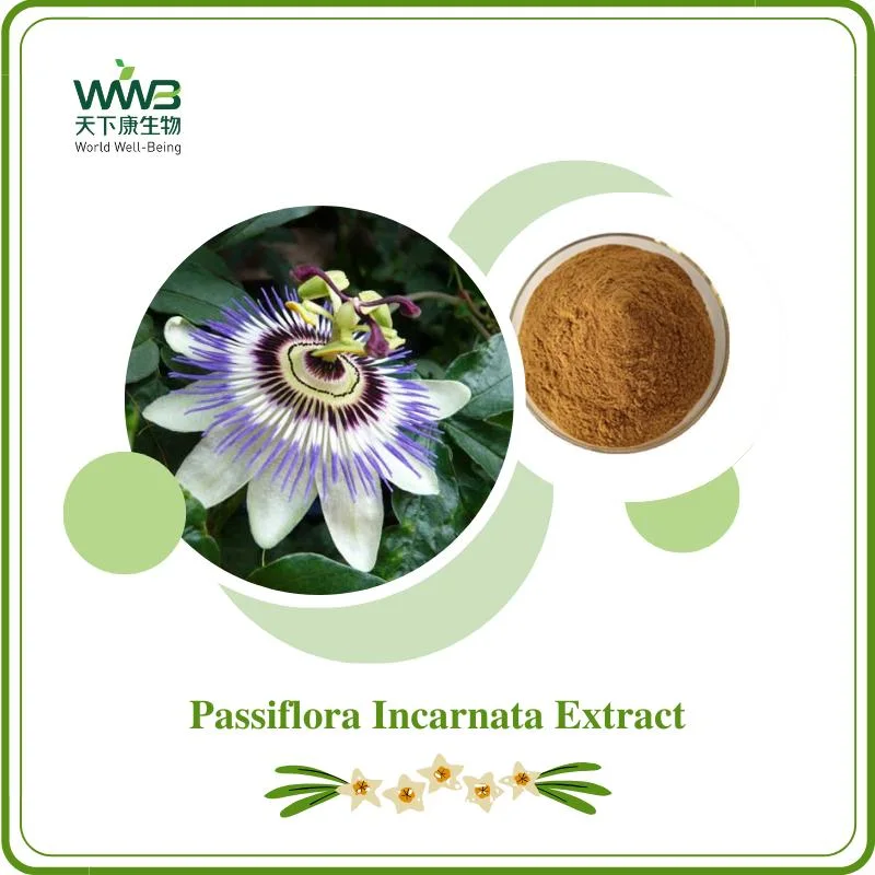 World Well-Being Factory Dirtect Supply Free Sample 1%-3% Vitexin 2%-5% Flavones 10: 1 Whole Herb Passiflora Incarnata Extract