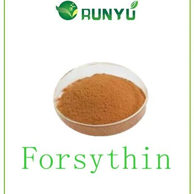 Hot Sell Product Forsythia Suspensa Fruit Extract Forsythin 2%