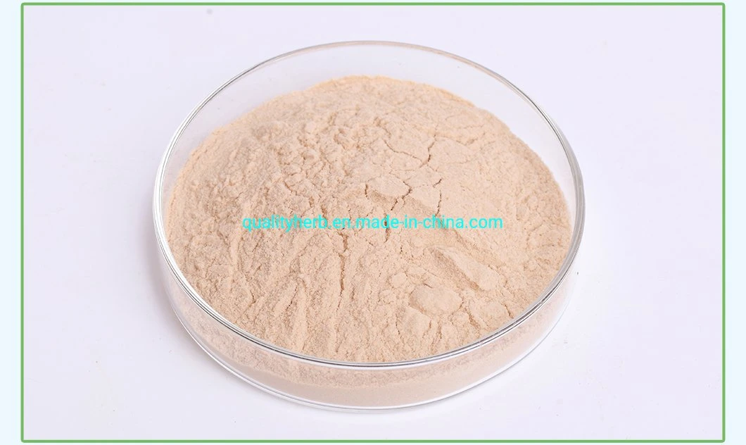 Ziziphus Jujuba Extract Jujuboside a &amp; B HPLC 0.2% HPLC