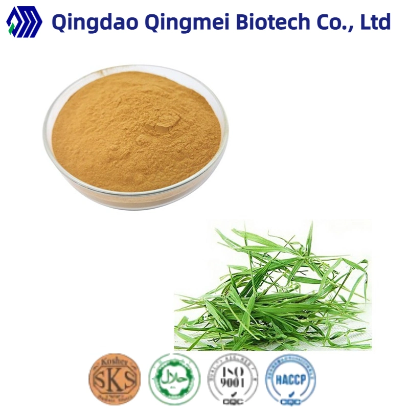 Natural Plant Extract Antioxidant of Bamboo Leaves