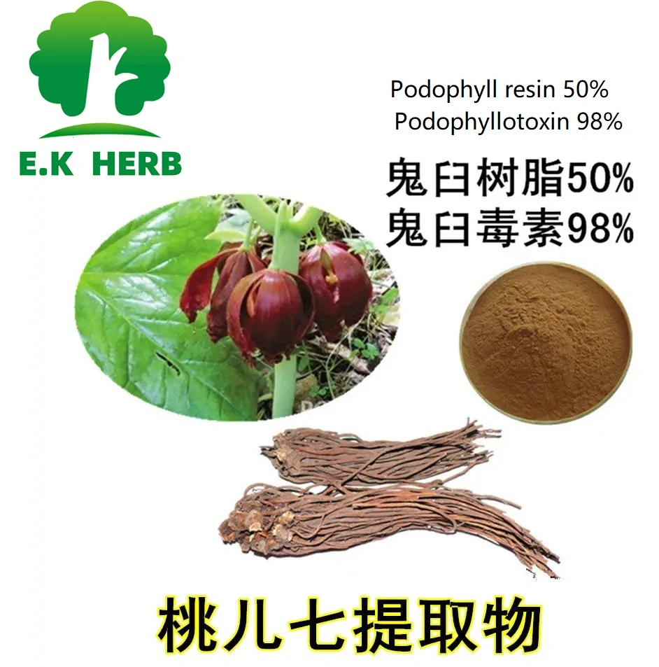 E. K Herb Plant Extract Factory Natural Podophyllin Extract Raw Material 50% Podophyllin Extract Powder