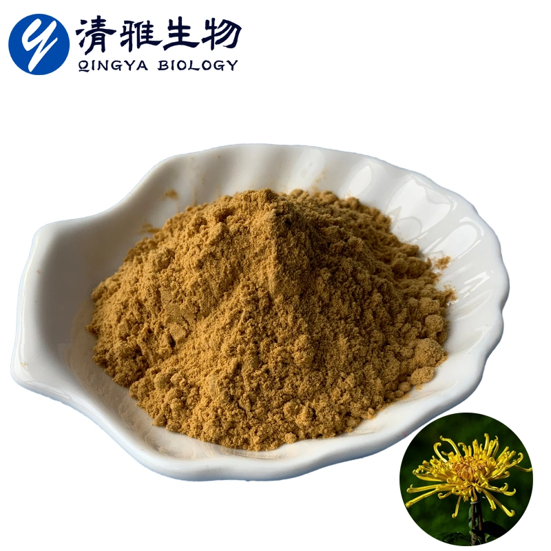 Chrysanthemum Flower Extract 10: 1 Natural Plant Powder