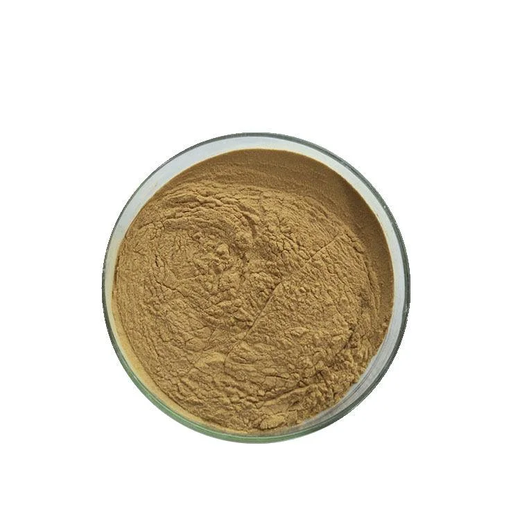 High Quality Polysaccharide Poria Cocos Powder Poria Cocos Extract