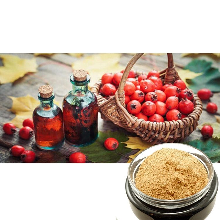 Plant Extract Hawthorn Fruit P. E. /Hawthorn Leaf Extract/Vitexin Hawthorn Fruit/Leaf Extract