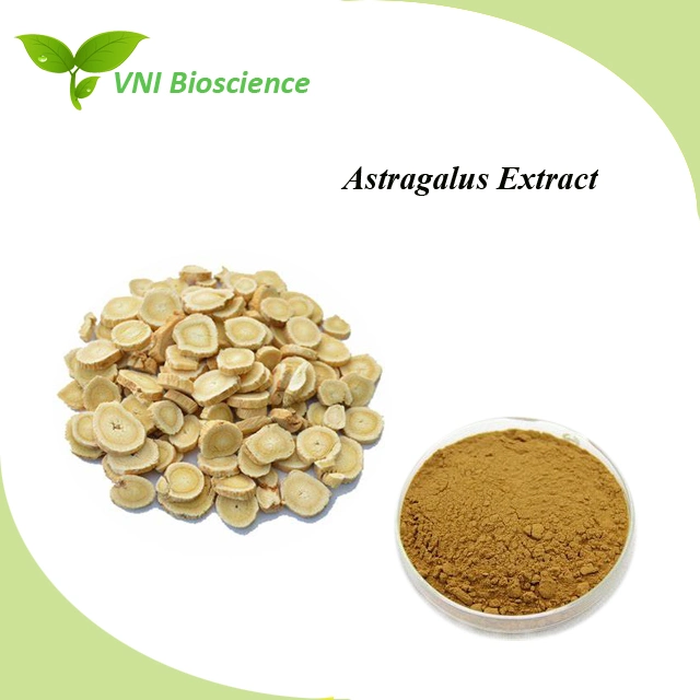 Halal Certified 100% Natural Astragalin Balcalin Astragalus Extract