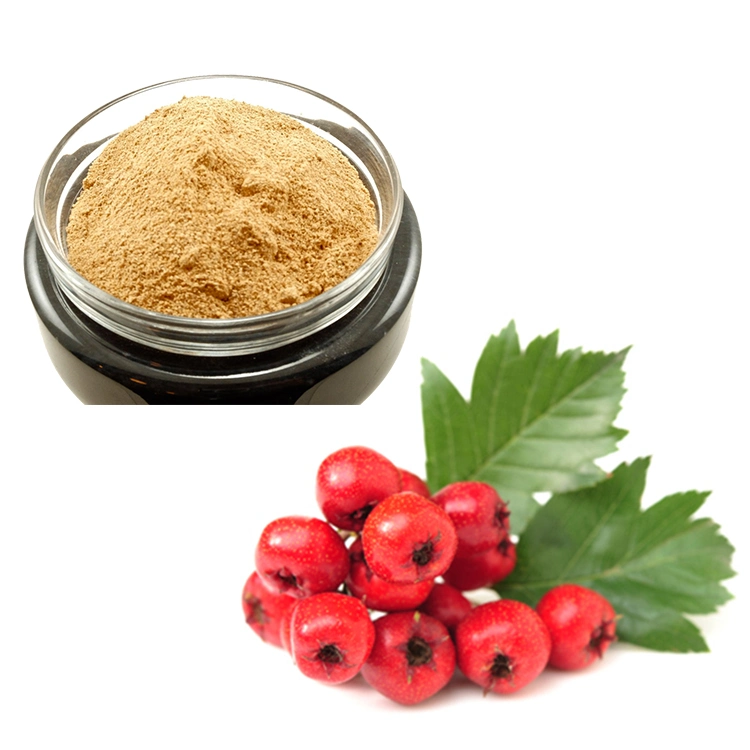 Plant Extract Hawthorn Fruit P. E. /Hawthorn Leaf Extract/Vitexin Hawthorn Fruit/Leaf Extract