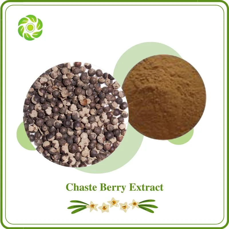 World Well-Being Biotech Natural Chaste Berry Extract with 5% Vitexin 1%-10% Isovitexin for Supplement