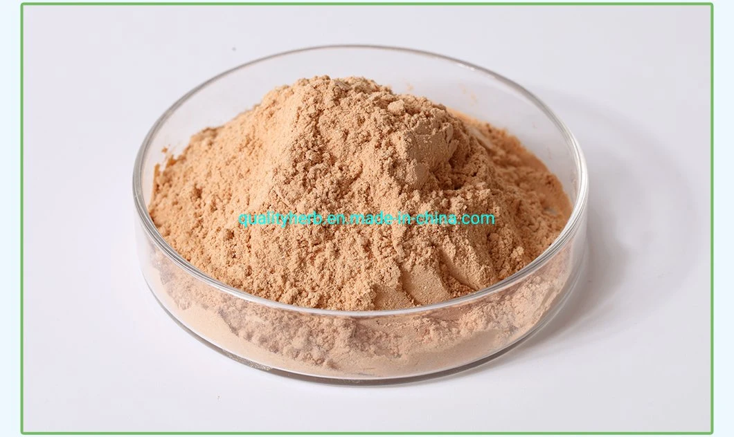 Halal Certificate Non-GMO 100% Natural Plant Isoflavone Powder Soybean Seed Extract