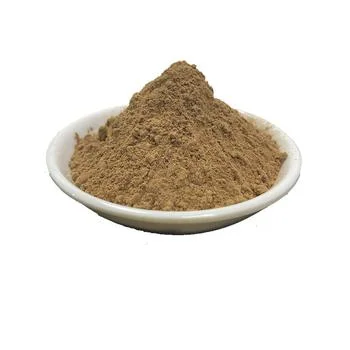 Pure Natural Organic Flavone 24% Lactones 6% Ginkgo Biloba Extract Powder