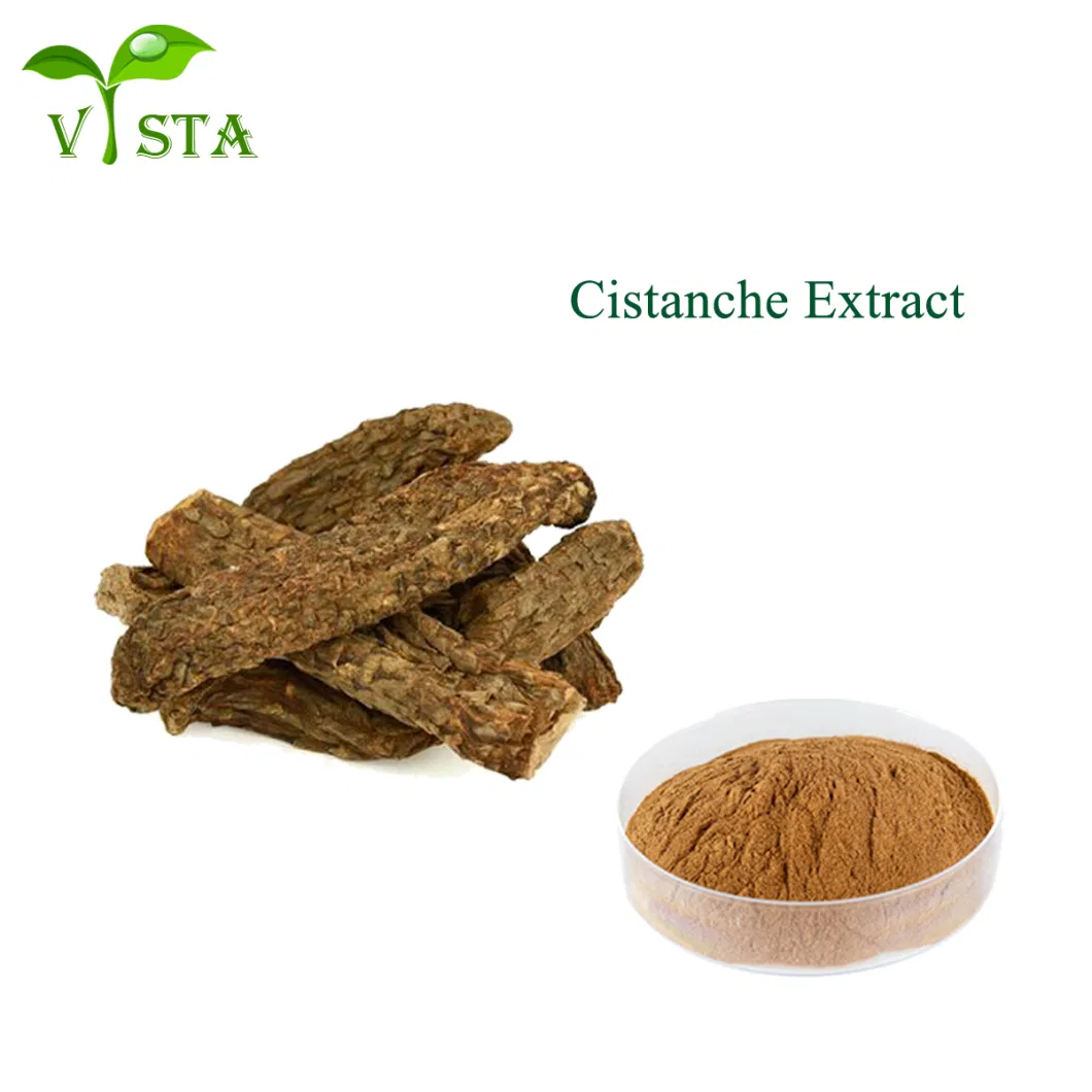 100% Natural Cistanche Tubulosa Extract Cistanche Root Cistanche Extract Plant Extract for Sexual Improvement