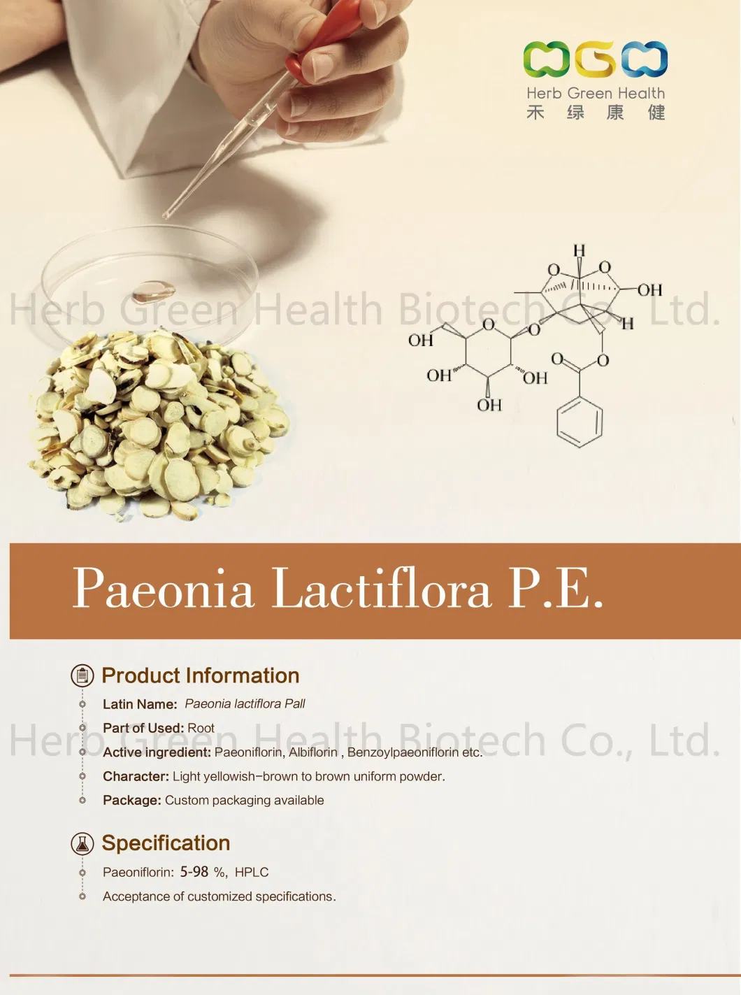 ISO Certified Factory Supply Paeoniflorin 5-98% Powder White Peony Root Extract