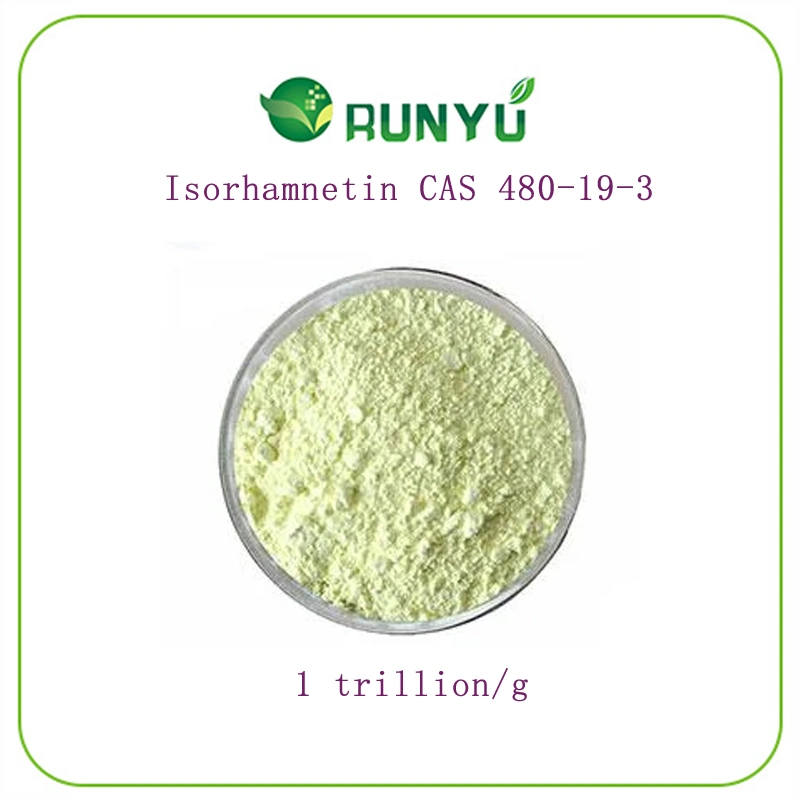 CAS 480-19-3 High Quality Isorhamnetin 98% Japonica Extract