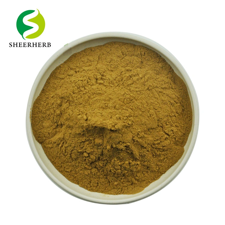 100% Organic Food Grade Fingerroot Extract 4: 1 10: 1 Boesenbergia Rotunda Extract Powder