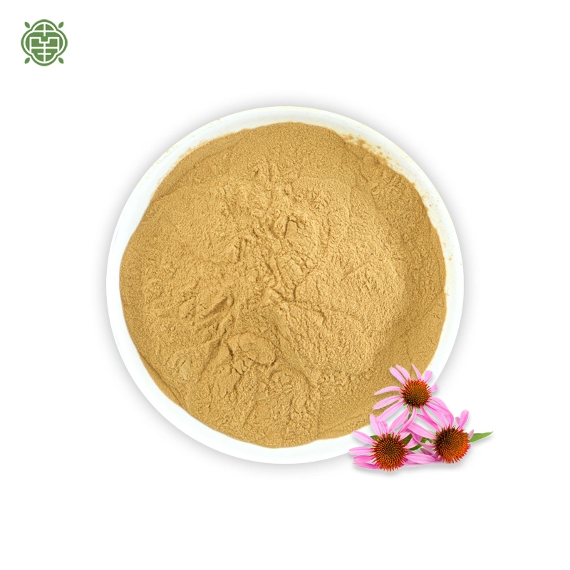 Nanqiao Food and Pharmaceutical Grade Natural Herbal Extract Purple Daisy Extract Powder Cichoric Acid 2%-8%