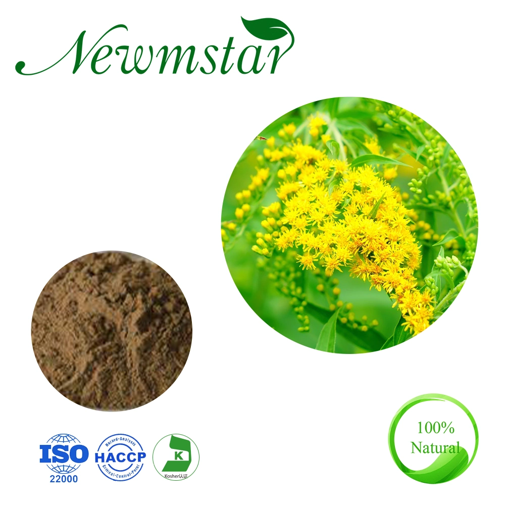 Health Products Anti-Bacterial Plant Extract Goldenrod Extract Powder 10: 1 Goldenrod Extract