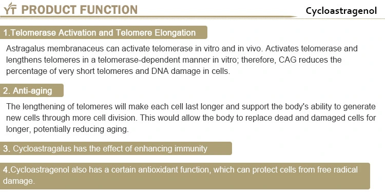 Cycloastragenol Astragalus Extract 78574-94-4 Cycloastragenol Cycloastragenol 99%