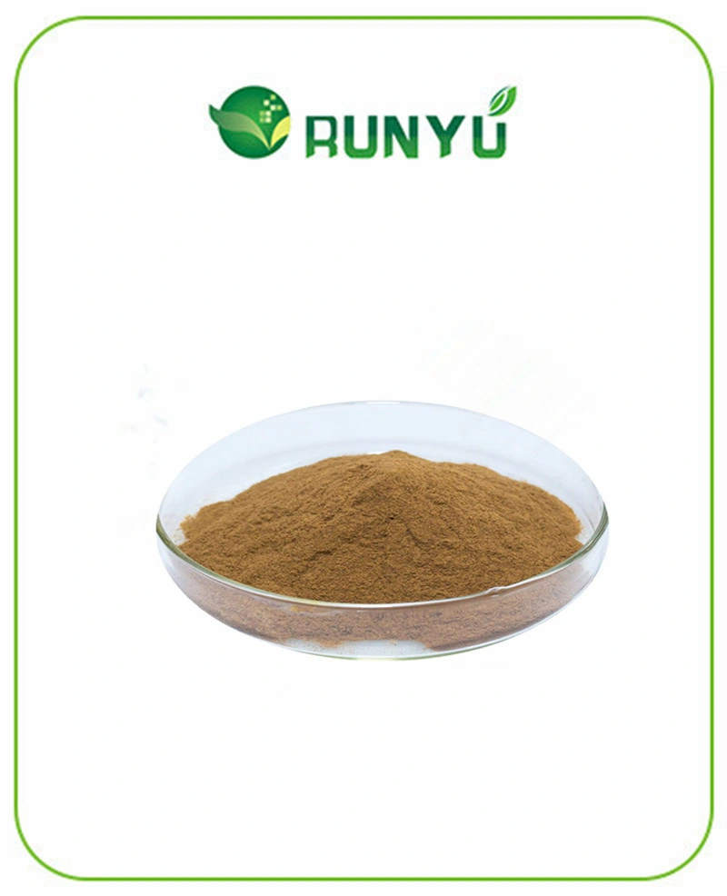 Supply Best Price Astragalus Root Extract Powder Astragaloside a