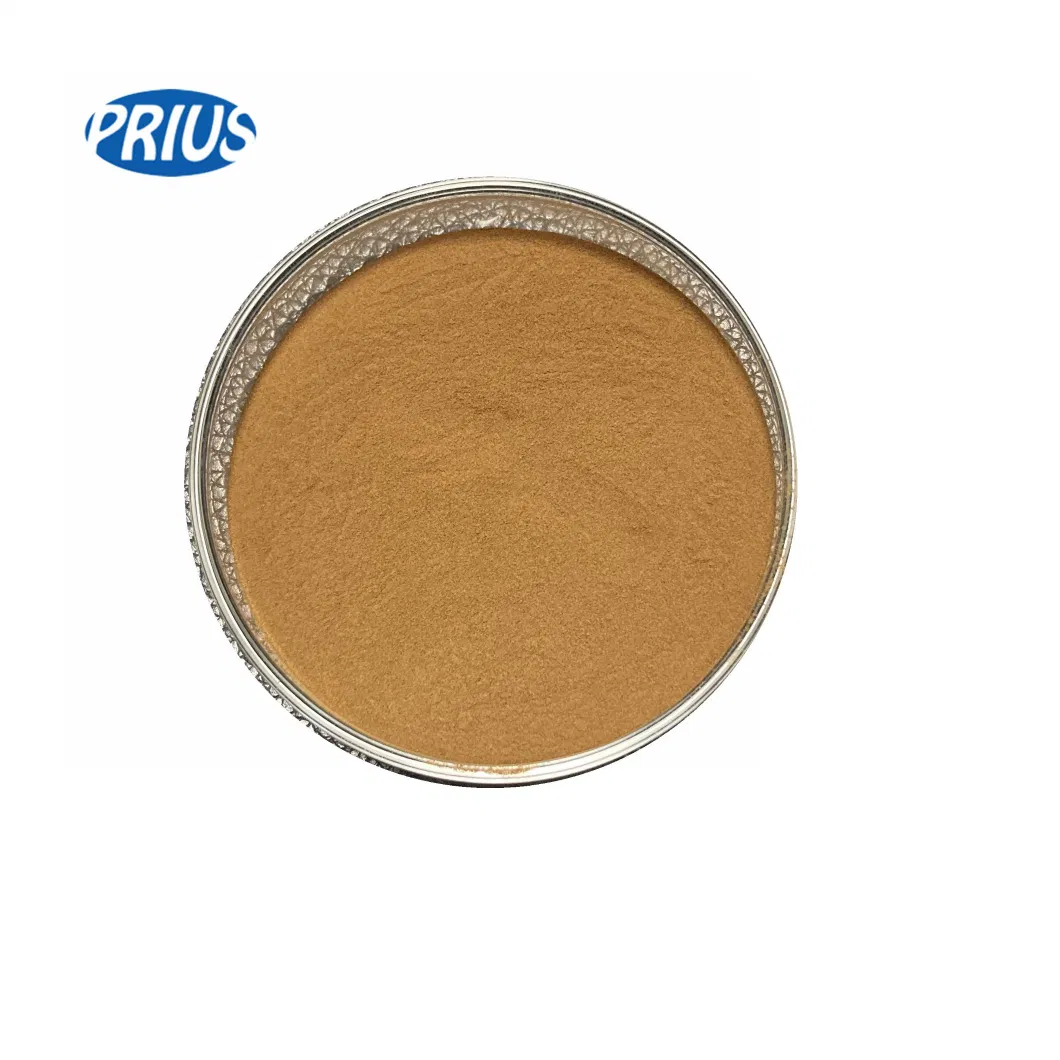 Flax Seed Extract 10: 1 Secoisolariciresinol Diglucosi Powder