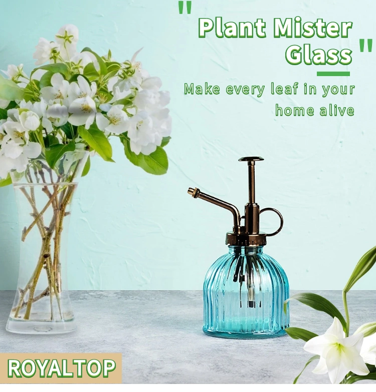 Wholesale 200ml Mini Manual Press Pump Colorful Vintage Embossed Glass Plant Mister Glass Spray Bottle for Indoor Plants