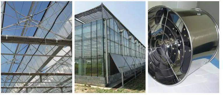 Multi-Span Agricultural Venlo Glass Greenhouses with Shading System