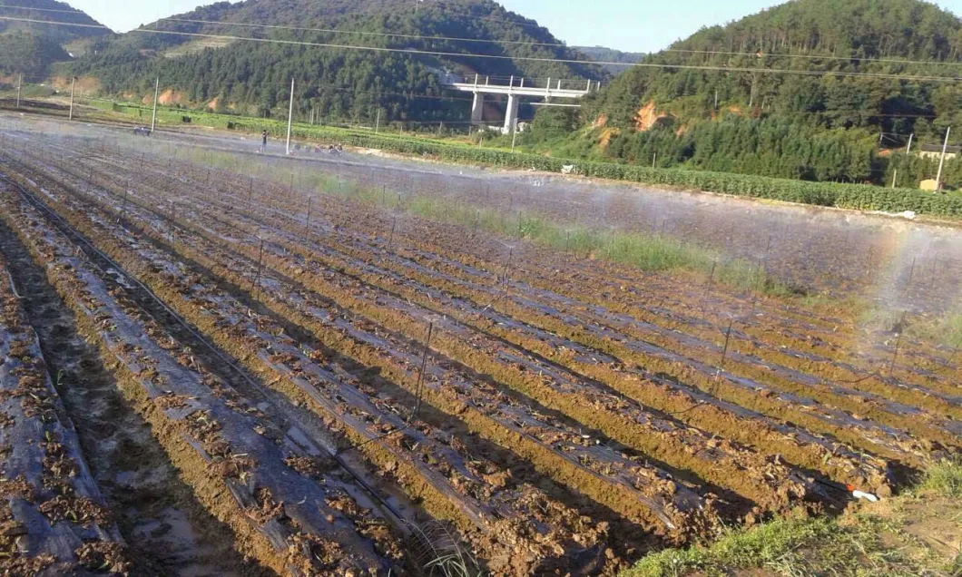 Farm Irrigation System Rotary Micro Sprinkler