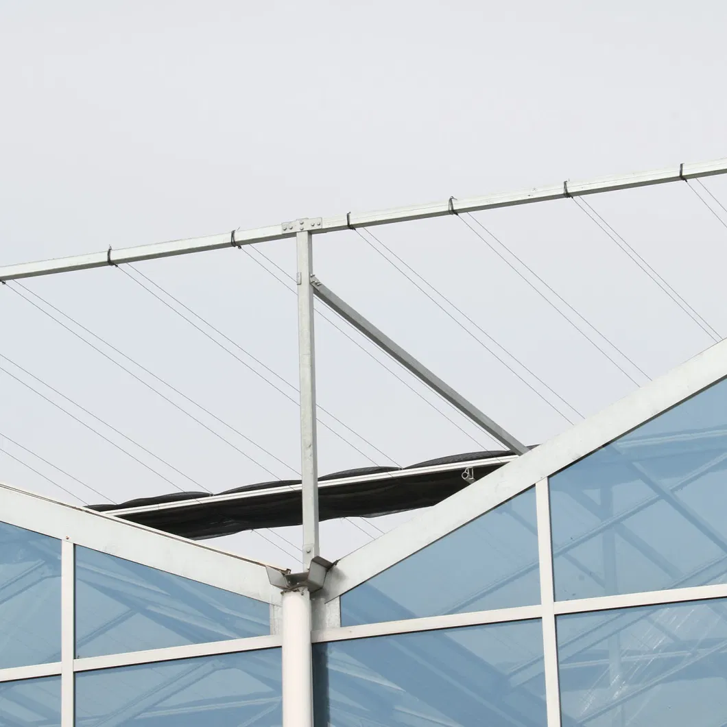 Agricultural Multi Span Venlo Glass Greenhouse for Flowers