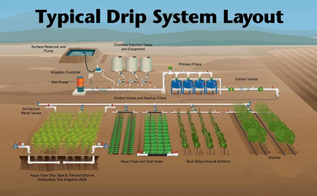 Dripping Irrigation System for Greenhouse