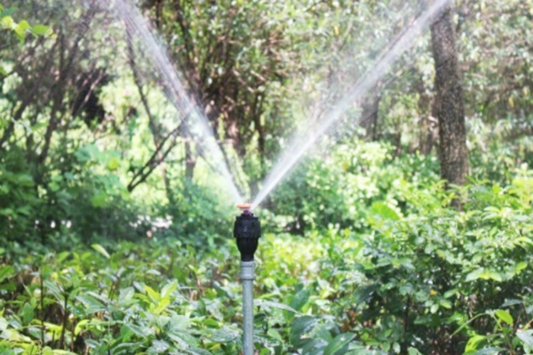 1/2&prime;&prime; 360 Degree Rotary Garden Sprinkler for Lawn