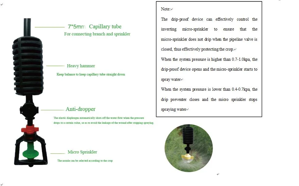 Buckle Plug Atomized Micro Sprinkler for Drip Irrigation System