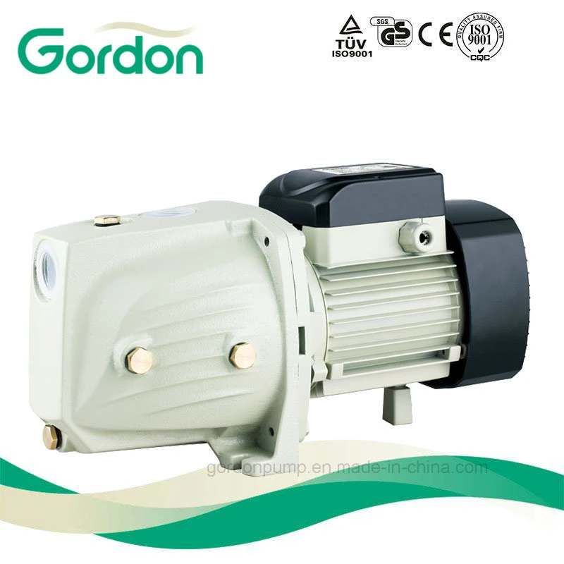 Garden Copper Wire Self-Priming Jet Pump with Auto Spare Part