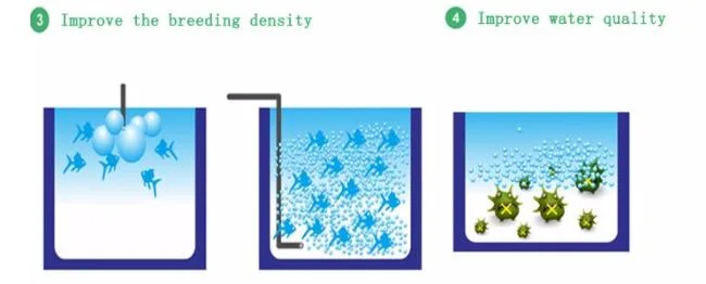 Micro Nanobubble Generator for Indoor Hydroponic Farm