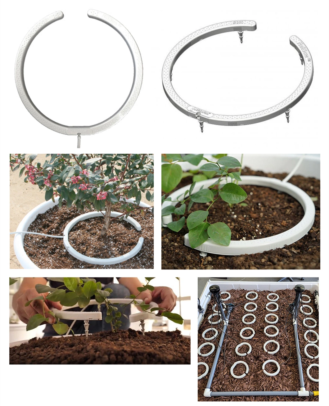 10&quot; Netbow Drip Irrigation Water Distribution Halo Ring Plastic Housing Injection Mould