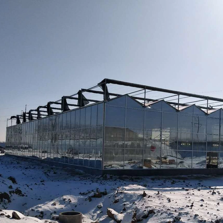 Multi-Span Agricultural Venlo Glass Greenhouses with Shading System